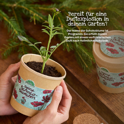 Schokoblumen aus dem Becher